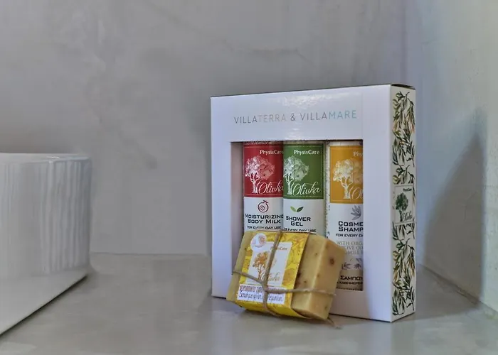 Terra Paros וילה *